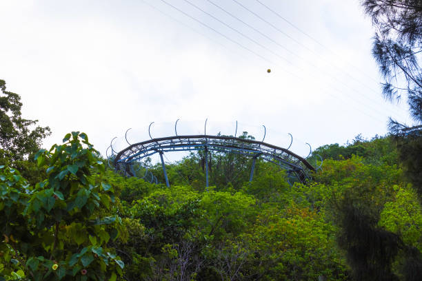 istock Summer bobsleigh track at Labadee island at Haiti at sunny day 1007384554