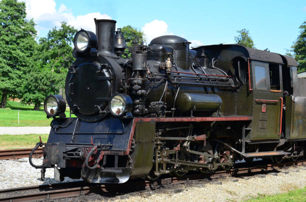 istock Steam locomotive 1007386894