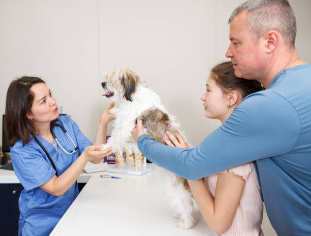 istock Woman veterinarian with visitors 1007388218