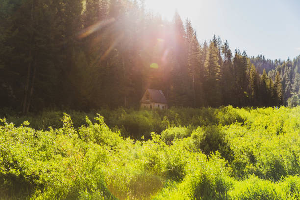 Log Home overlooks tranquil stream