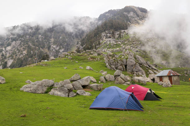 A group of dome tents placed on a grass field near Mcleodganj, Snow Line, Himachal Pradesh, India. Wild camping. A group of dome tents placed on a grass field near Mcleodganj, Snow Line, Himachal Pradesh, India. himachal pradesh photos stock pictures, royalty-free photos & images