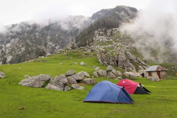Wild camping. A group of dome tents placed on a grass field near Mcleodganj, Snow Line, Himachal Pradesh, India.