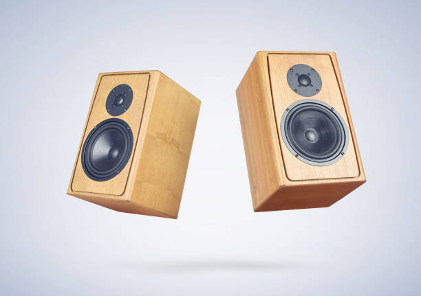 istock Two wooden speakers on light blue background. File contains a path to isolation. 1007408480