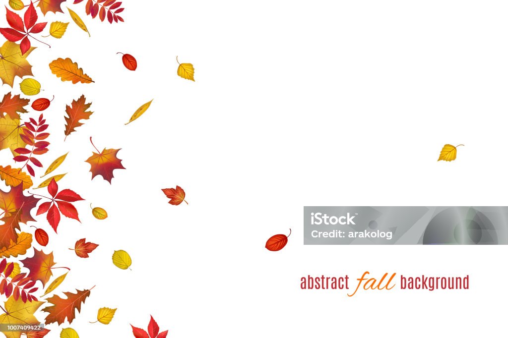 Fall Abstract White Background Autumn Leaves Isolated On White Background Stock Illustration ...