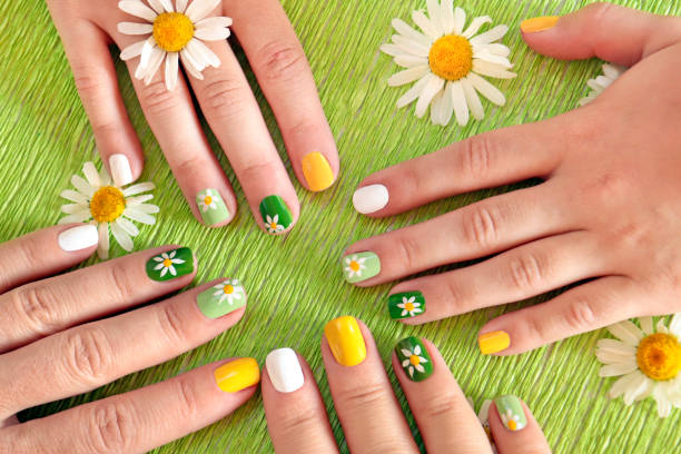 A daisy manicure. The same nail design for mother and daughter with daisies close-up. yellow nail polish stock pictures, royalty-free photos & images