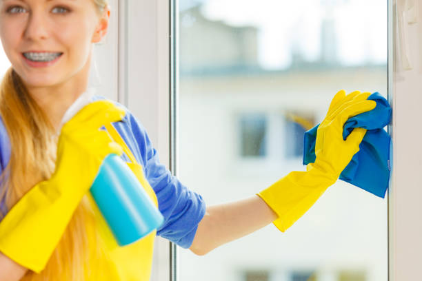 istock Girl cleaning window at home using detergent rag 1007415998