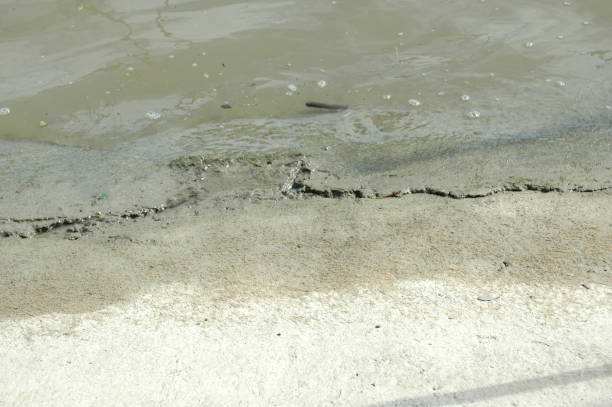istock River bank of Danube river 1007416248