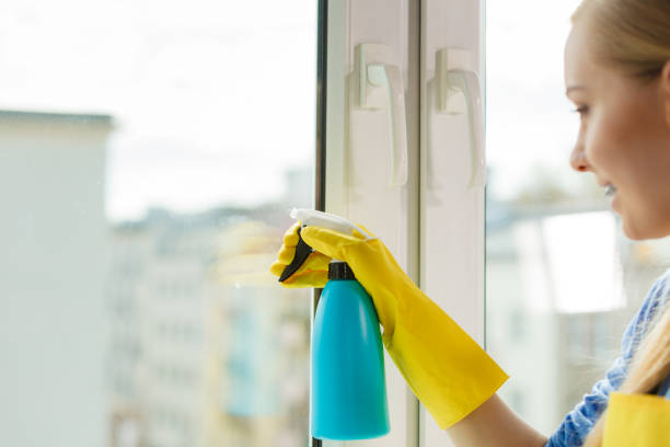 istock Girl cleaning window at home using detergent rag 1007416622