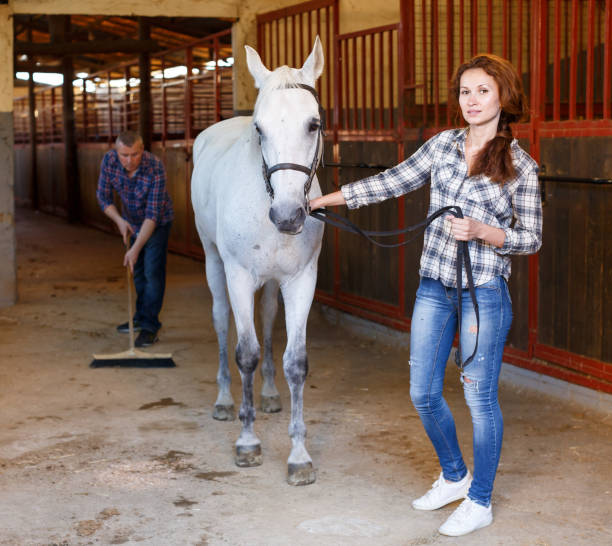 istock Farmer standing with horse, man cleaning floor at stabling 1007419312