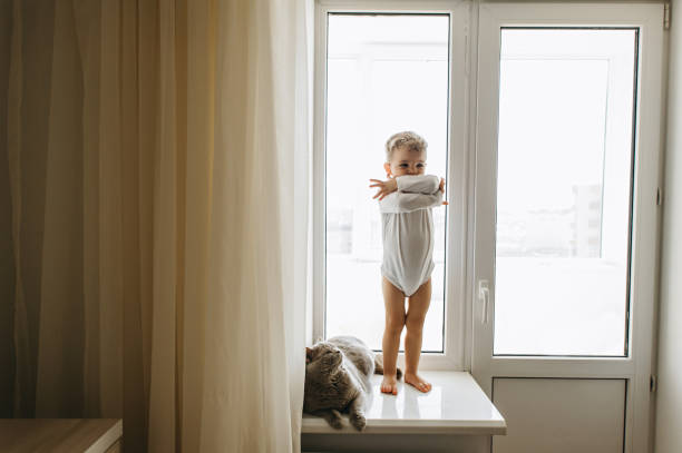 自宅の窓辺に灰色のブリティッシュ ・ ショートヘア猫立って、かわいらしい子供 - window light window sill home interior ストックフォトと画像