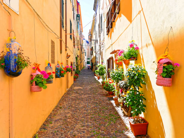 狭い路地は、アルゲーロの美しい花で飾られました。 - alghero ストックフォトと画像