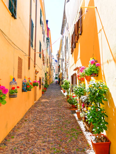 istock A narrow alley decorated with beautiful flowers in Alghero. 1007426010