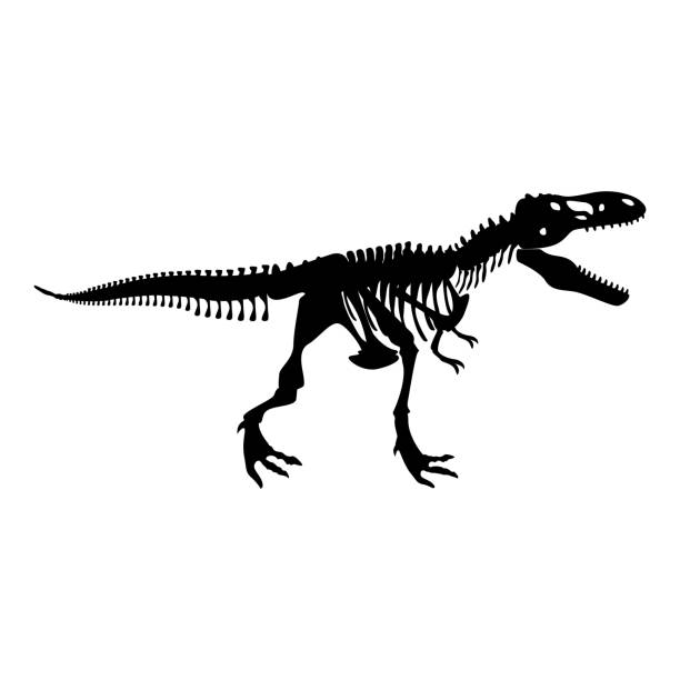 恐竜スケルトン t レックス アイコン黒カラー イラスト フラット スタイル シンプルなイメージ - 恐竜　骨点のイラスト素材／クリップアート素材／マンガ素材／アイコン素材