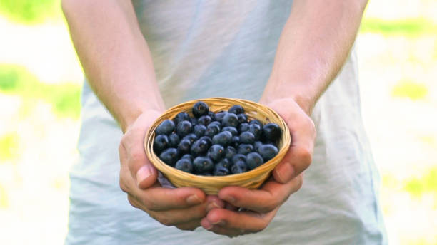 istock Bowl of blueberries in bowl 1007442270