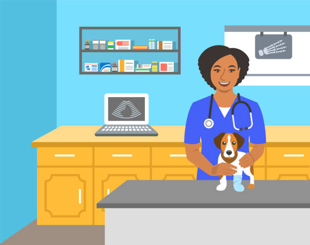 bildbanksillustrationer, clip art samt tecknat material och ikoner med veterinär läkare innehar hund på undersökning bord - veterinär
