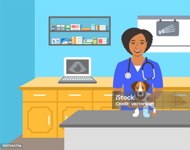 Veterinarian Doctor Holds Dog On Examination Table Stock Illustration - Download Image Now - Veterinarian, Animal Hospital, Examination Table