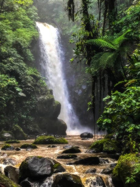 istock Jungle Waterfall with Palm Trees and Vines 1007447850