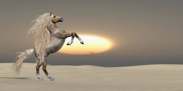 istock Sand Dune Palomino Horse 1007451188
