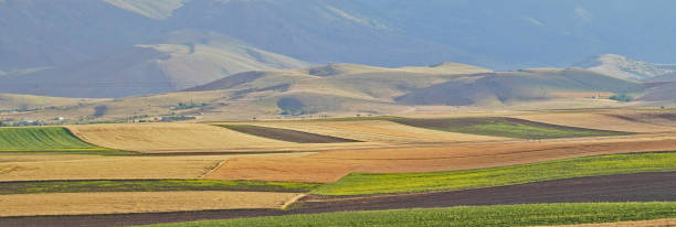 istock Panoramic background of beautiful yellow-green fields in Kahramanmaras, Turkey 1007455344
