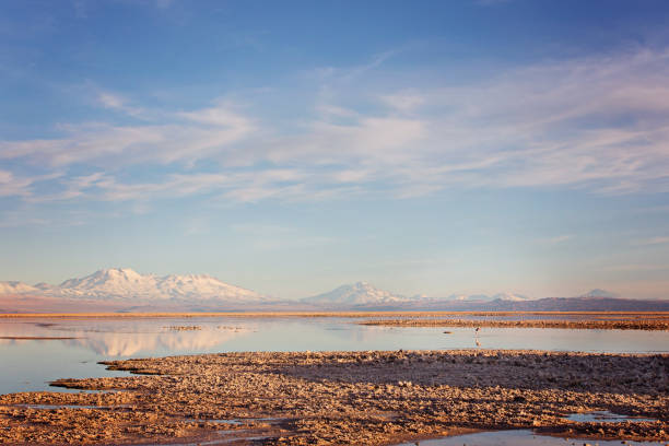 istock atacama desert salt lagoons 1007464382