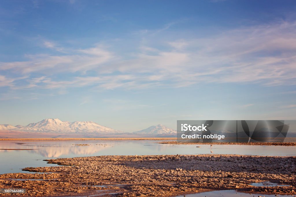atacama desert salt lagoons landscape view of salt lagoons with flamingos and andes mountains in los flamencos national reserve in atacama desert, chile Andes Stock Photo