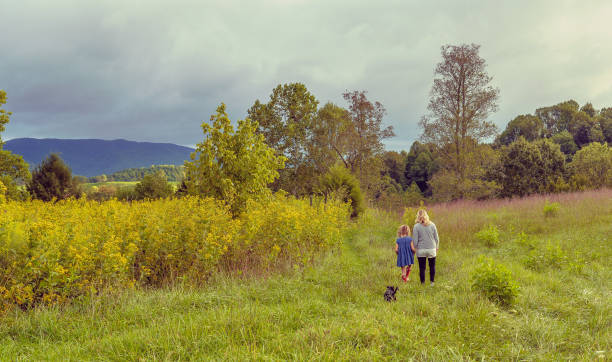 istock Walk in the Country 1007467800