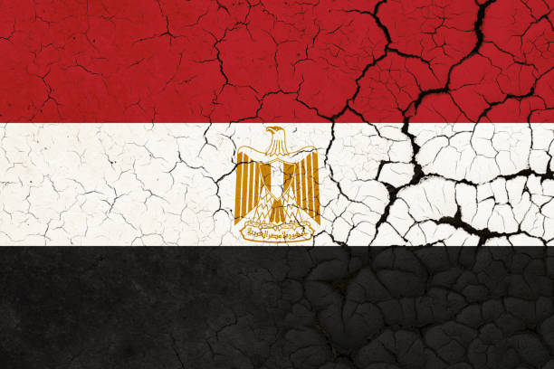 ägypten-flagge-krise - protest tax protestor politics stock-fotos und bilder