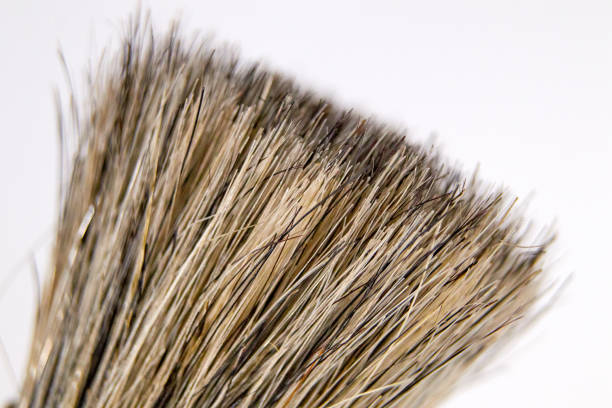 istock Closeup of a paint brush 1007471688