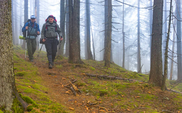 istock Two men in a foggy forest 1007477170