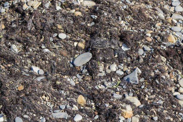 Stone pebbles texture background for interior exterior decoration and industrial construction concept design