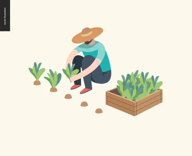 Vector illustration of Harvesting people, fall