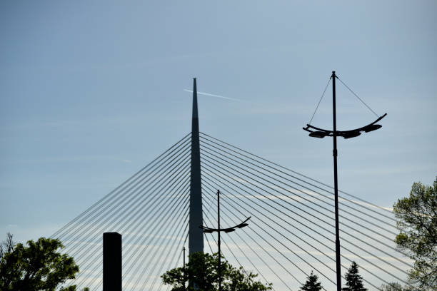 istock Pylon of suspension bridge over the treetops 1007488744