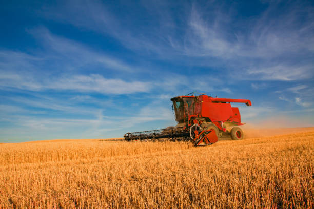 istock Combine harvesting wheat crop, Washington 1007500678