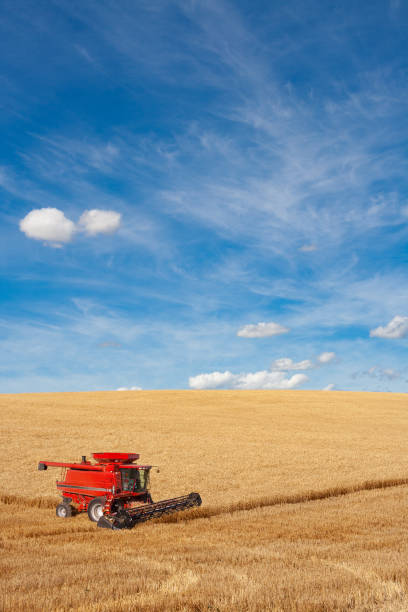 istock Combine harvesting wheat crop, Washington 1007500682