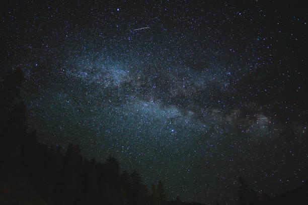 istock Milky Way with Shooting Star Over Forest Trees 1007500868