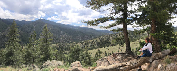 istock Single lady is sitting on the tree with mountain view 1007501162