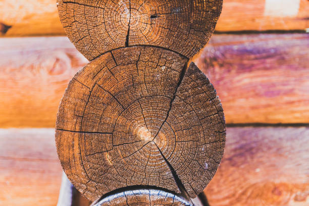 istock Details of Cabin Logs 1007504344