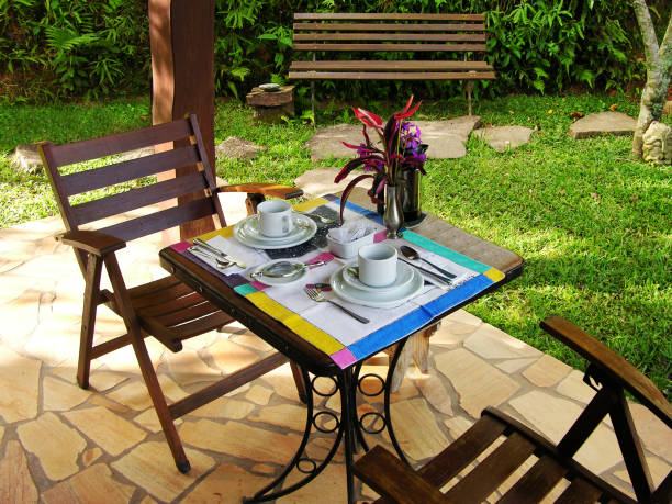 istock Tea for two in the garden 1007511764