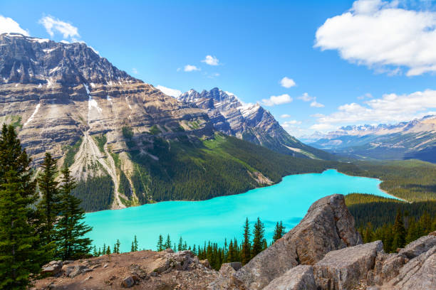 istock Peyto Lake in Banff National Park on Icefields Parkway 1007519176