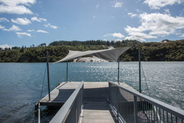 molo nad jeziorem ohakuri - flowing water ripple day plant zdjęcia i obrazy z banku zdjęć