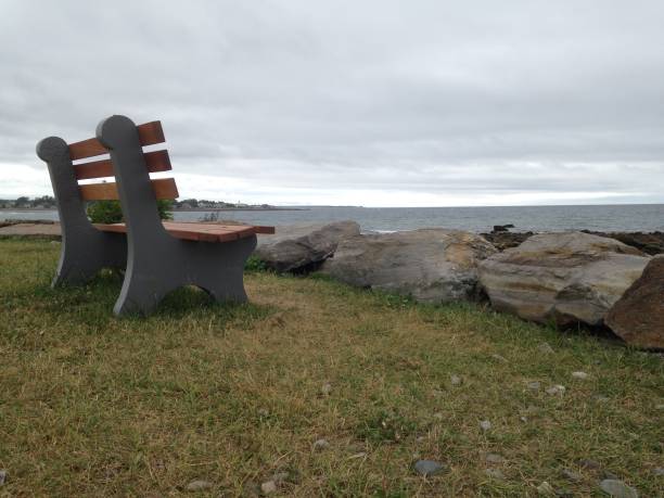 istock solitary bench beside the sea 1007535156
