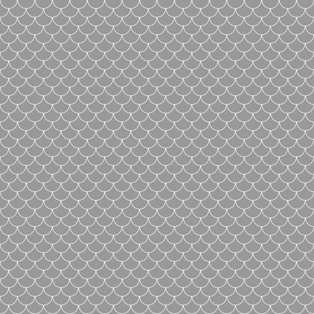 ilustrações, clipart, desenhos animados e ícones de fish escalas padrão sem emenda - animal scale fish silver backgrounds