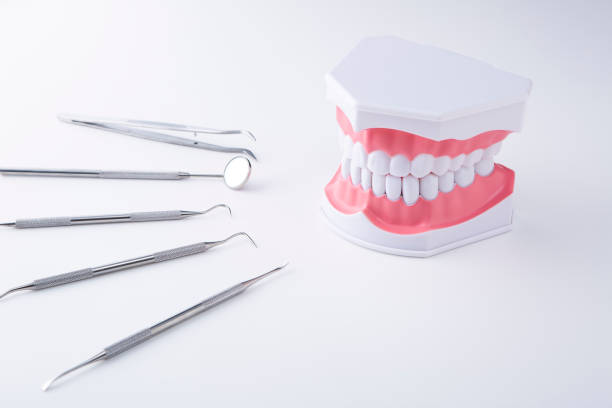 istock Teeth model and dental tools on white background 1007543212