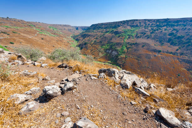 istock Nature reserve located in the Golan Heights 1007543252
