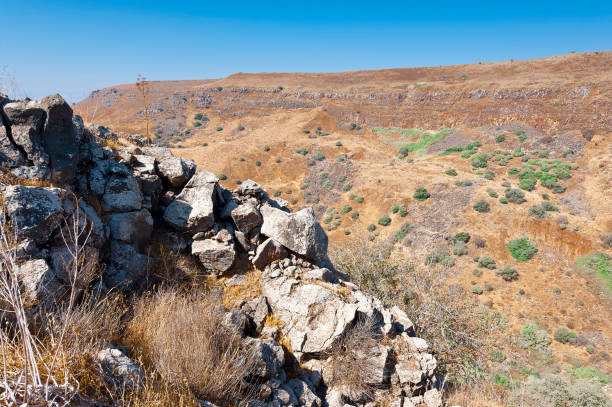 istock Nature reserve located in the Golan Heights 1007543266