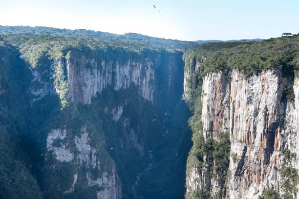 istock Itaimbezinho Canyon - Rio Grande do Sul - Brazil 1007559490