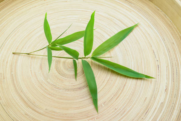 bambus-blätter auf dem hintergrund - bamboo leaf bamboo shoot feng shui stock-fotos und bilder