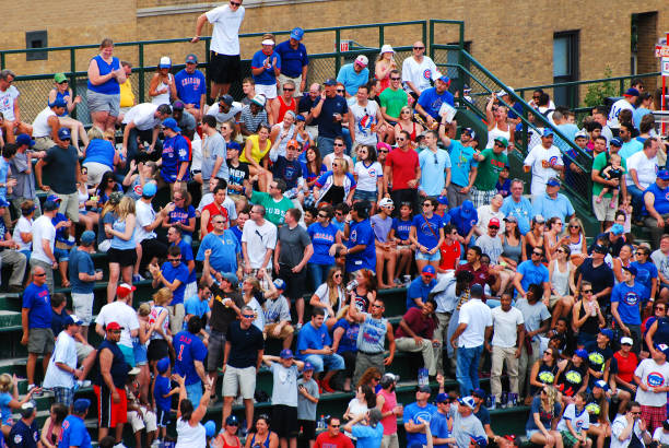 Young baseball players dream of playing the game.