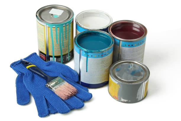 istock Banks with paint, brushes and mittens 1007613710
