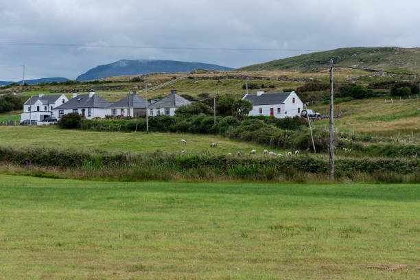istock Soft Landscape in the Irish Countryside 1007615760